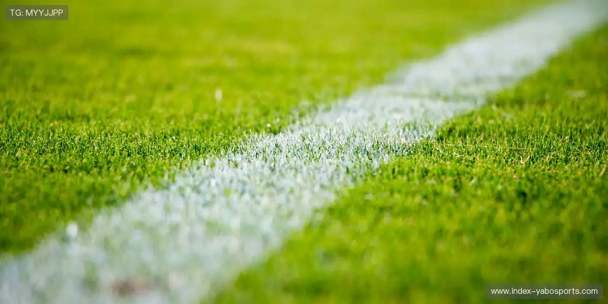 🌟 球星回应粉丝留言，惊喜不断